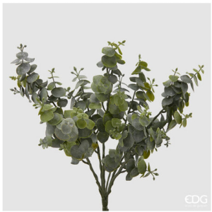 Eucalipto Chic Cespo X7 H36 – Sage Morbido e Naturale