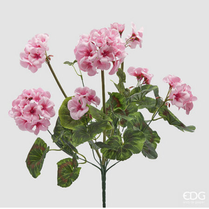 Geranio Cespo X7 H48 – Pale Pink Delicato e Realistico