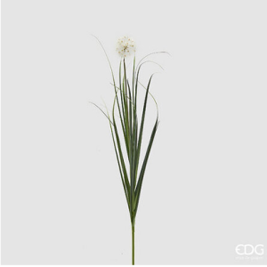 Festuca Ramo Tarassaco H110 – White Green Naturale e Scenografico