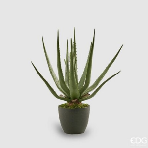 Aloe Chic con Vaso PVC H45 – Green Moderna e Realistica
