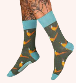Calze da Uomo in Bambù - MSOC145 Pheasants, Racing Green